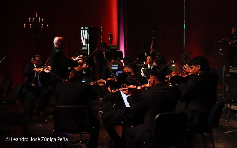 MOZART-(20)