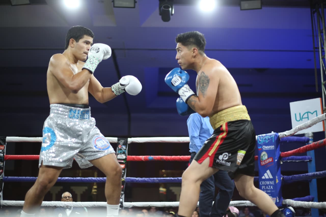 Boxeo--(116)