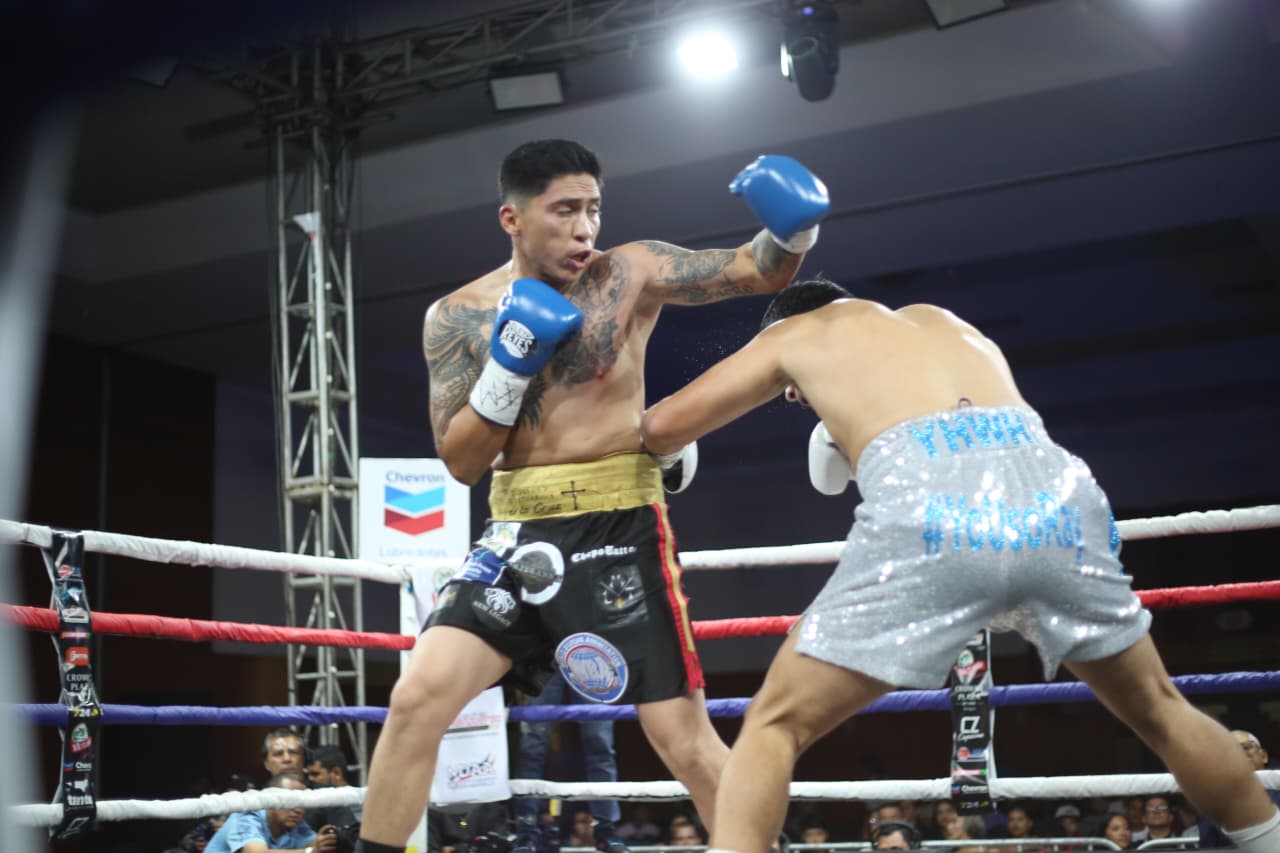 Boxeo--(130)