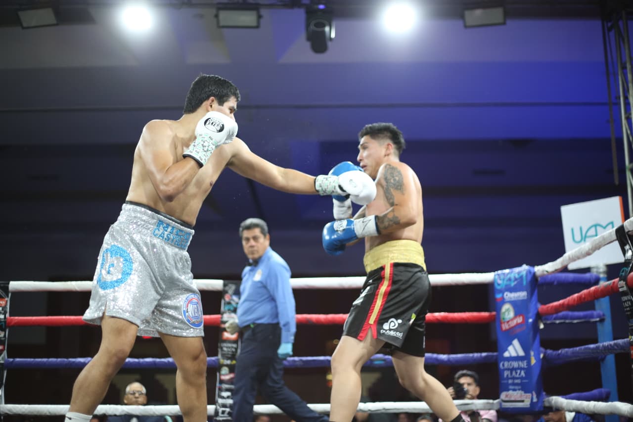 Boxeo--(131)