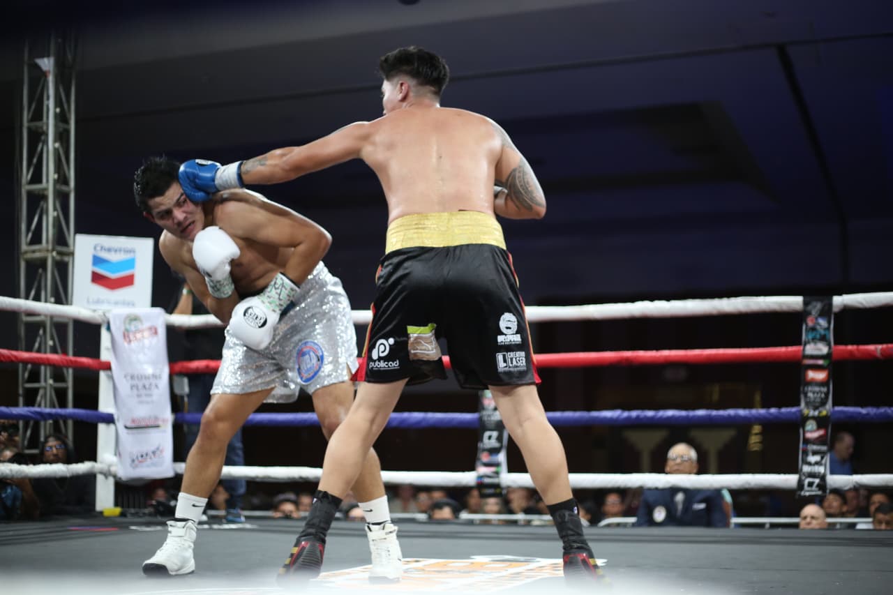 Boxeo--(16)