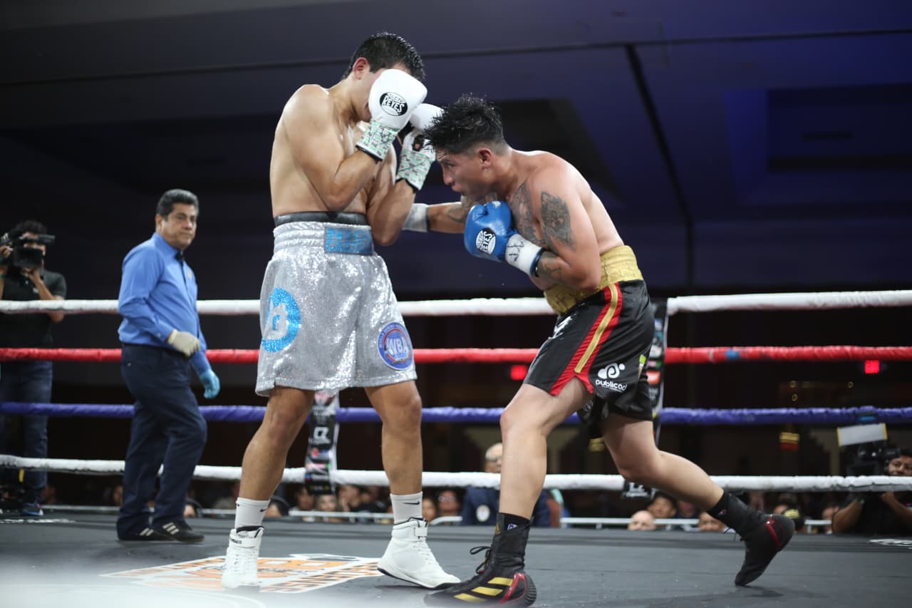 Boxeo--(22)