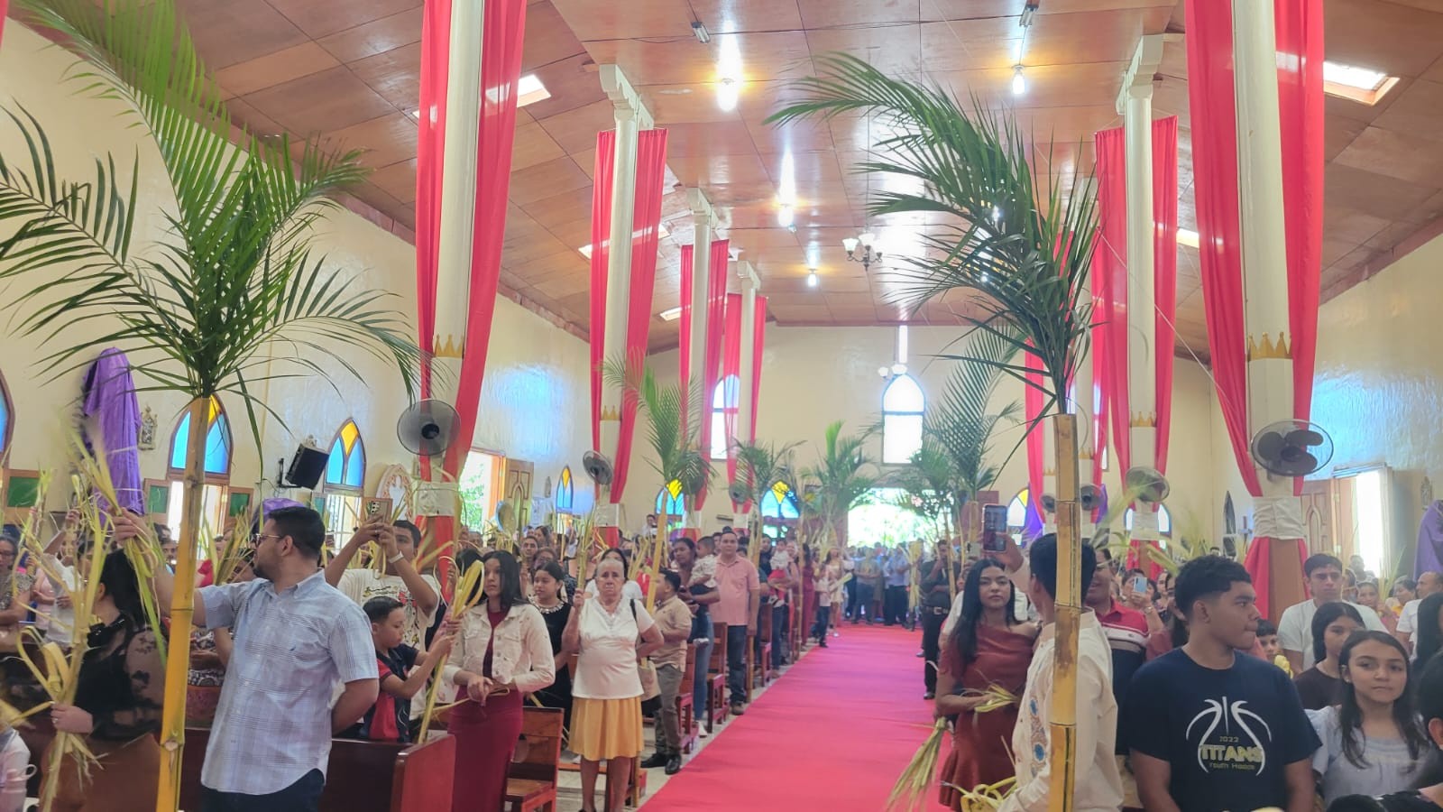 ESTELI-(17)