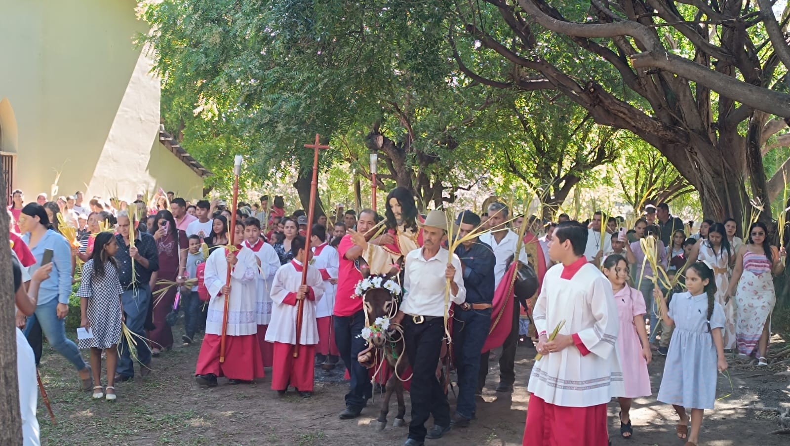 ESTELI-(20)