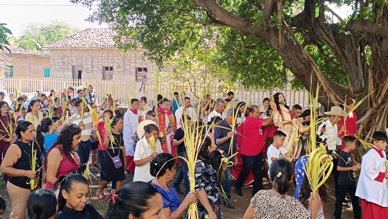 ESTELI-(22)