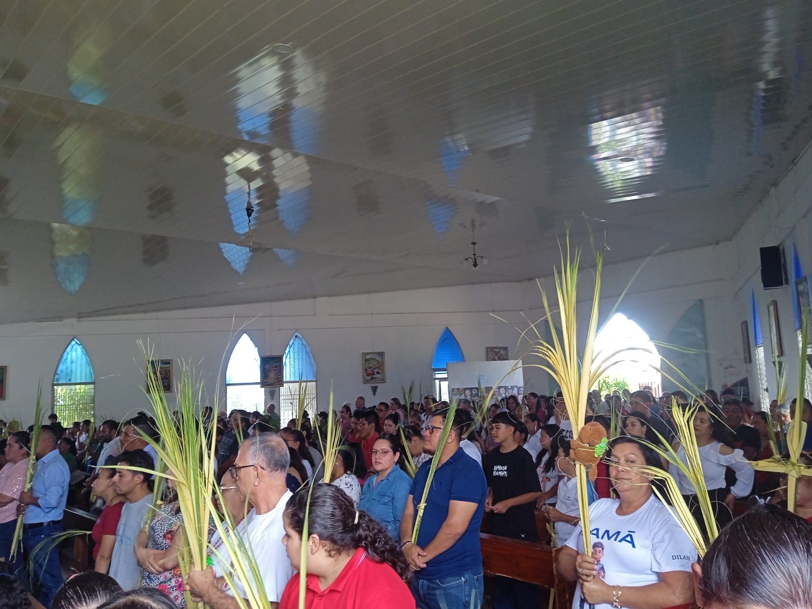 ESTELI-(4)
