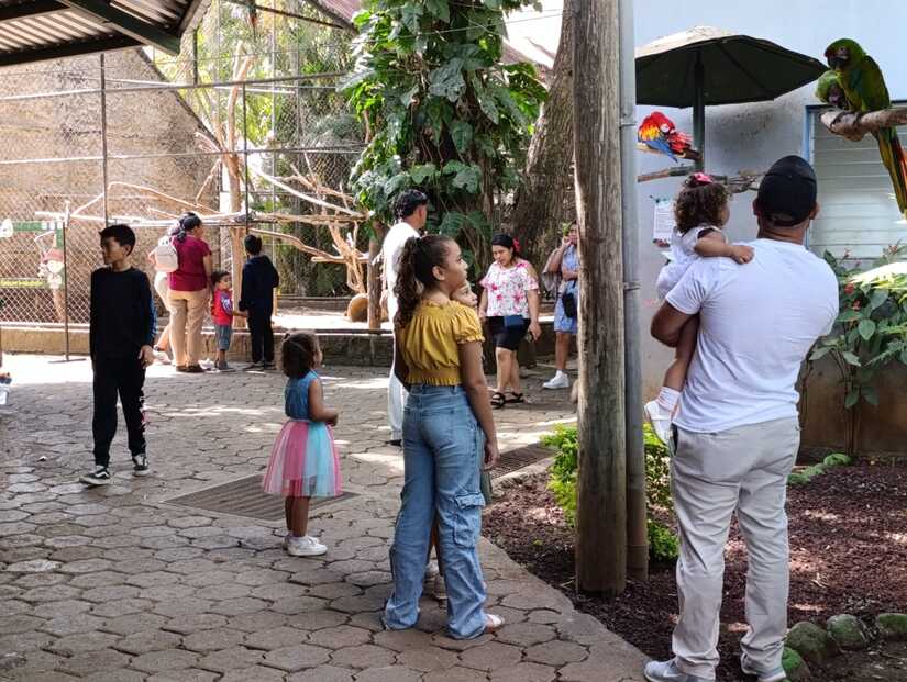 Zoologico--(10)