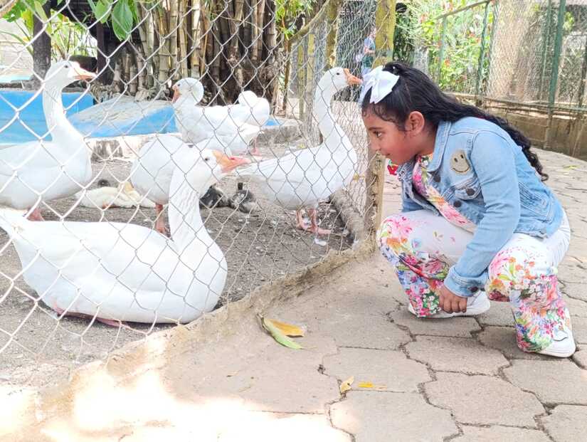Zoologico--(3)