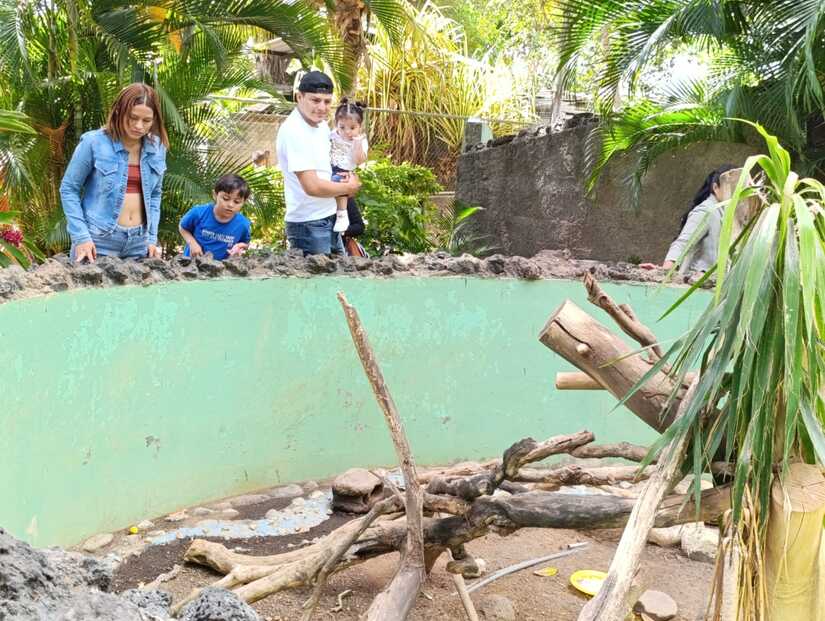 Zoologico--(4)