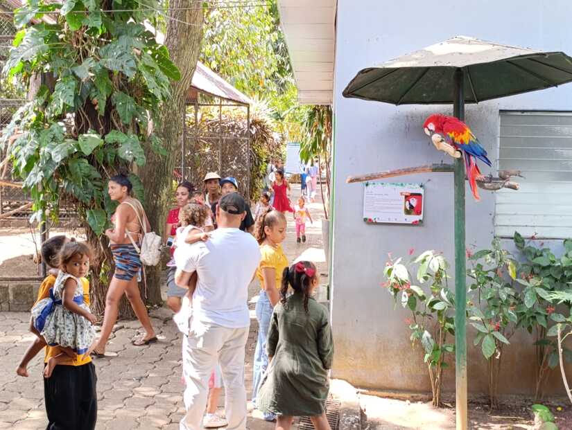 Zoologico--(9)
