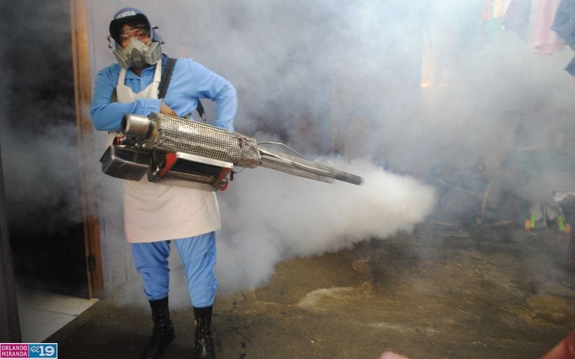 Fumigacion-7