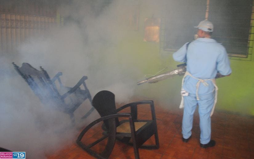 Fumigacion-3