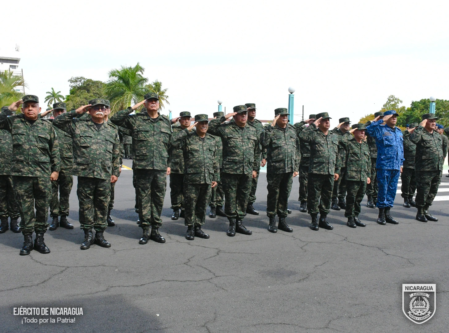 EJERCITO9