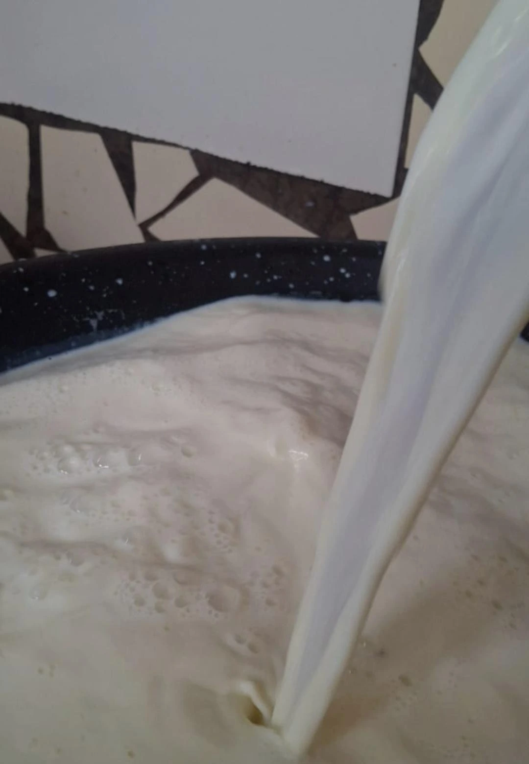 LECHE3