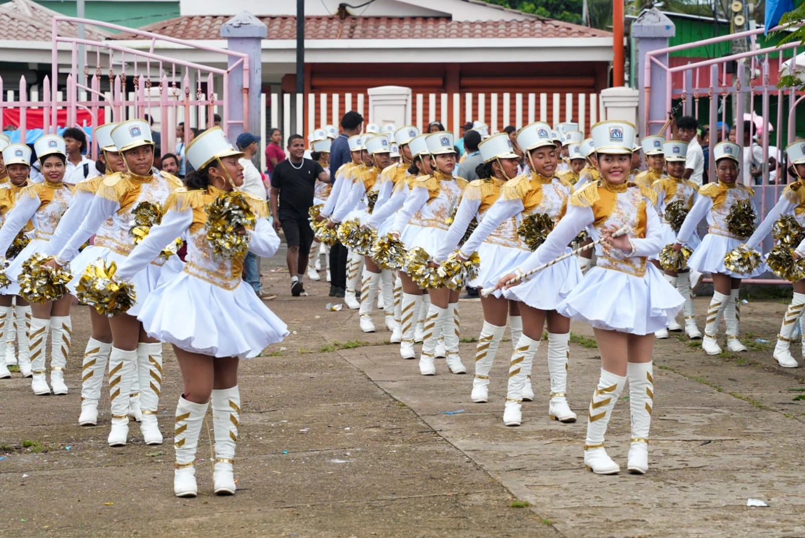 BANDAS31