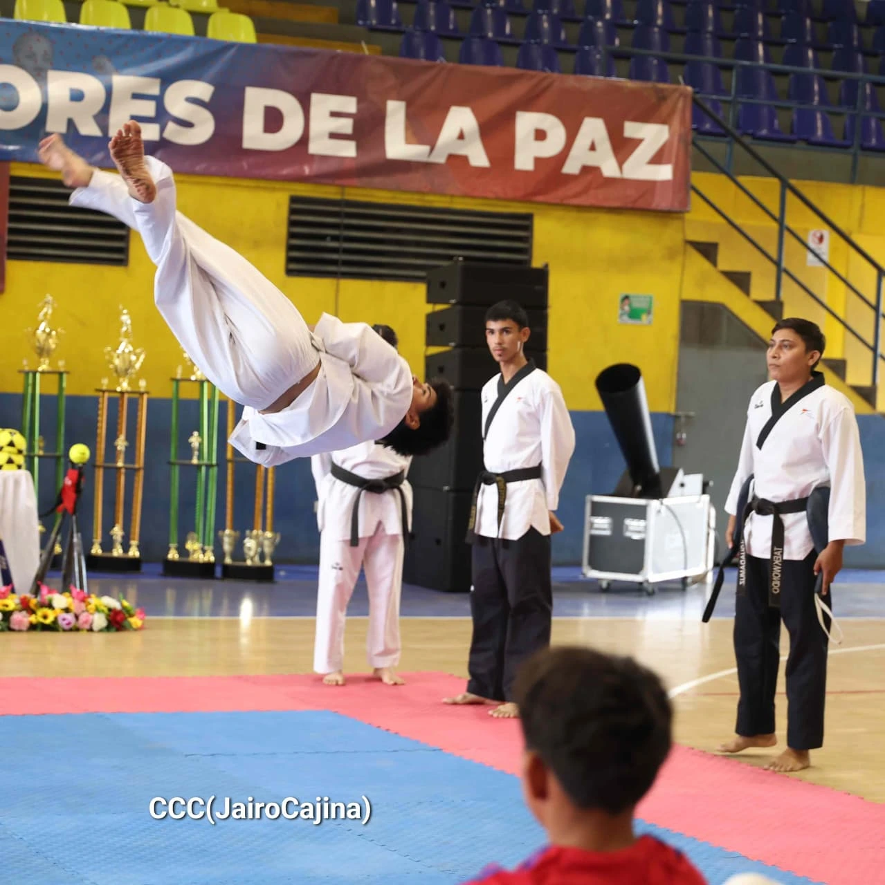 DEPORTES17_16_11zon
