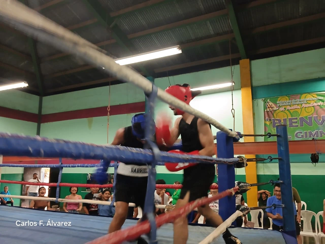 BOXEO11