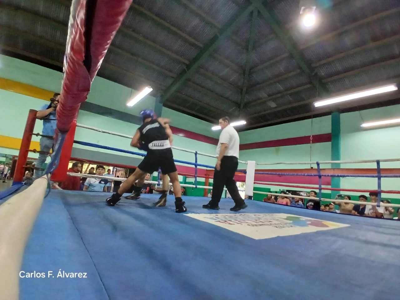 BOXEO15