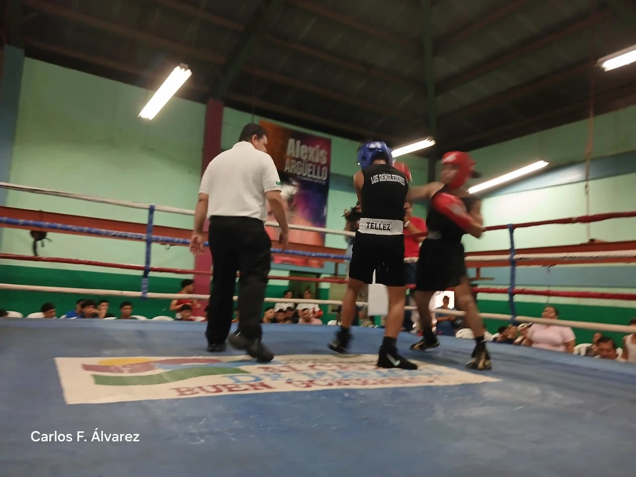 BOXEO16