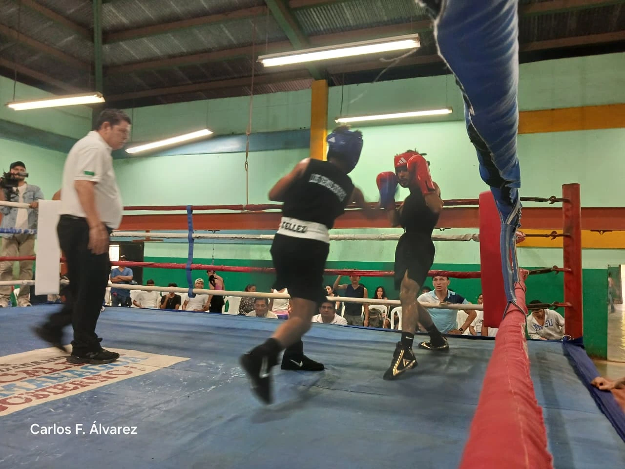 BOXEO17