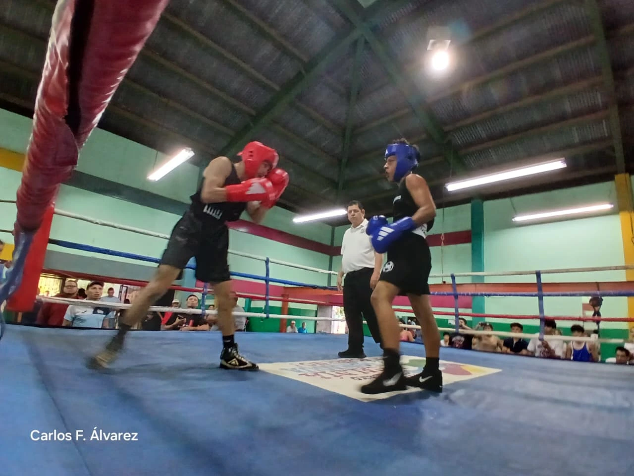 BOXEO19