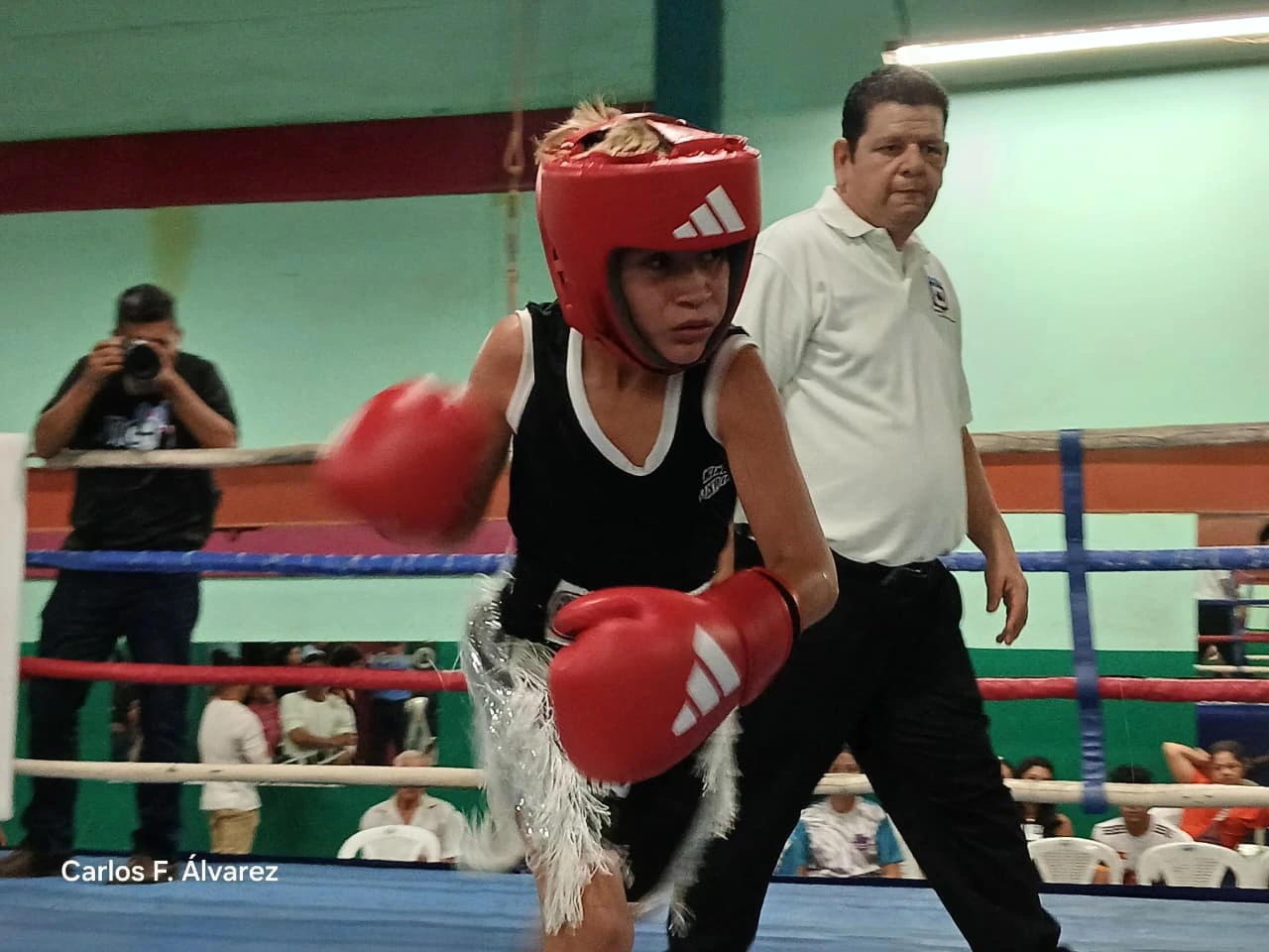 BOXEO3