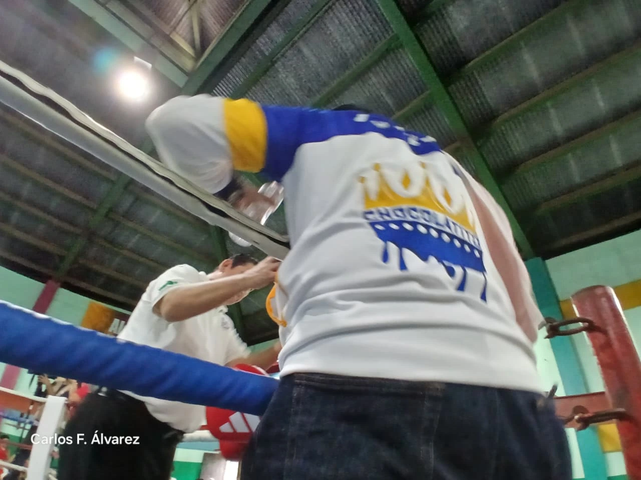 BOXEO9