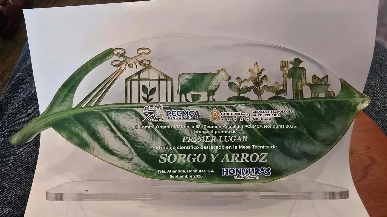 PREMIO6