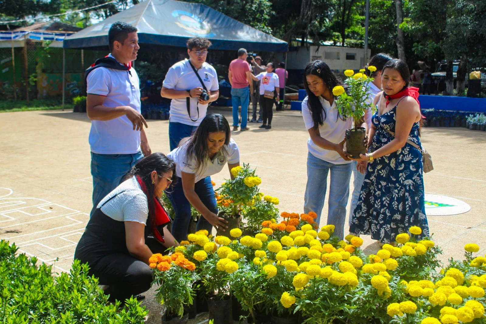 FLORES-(12)