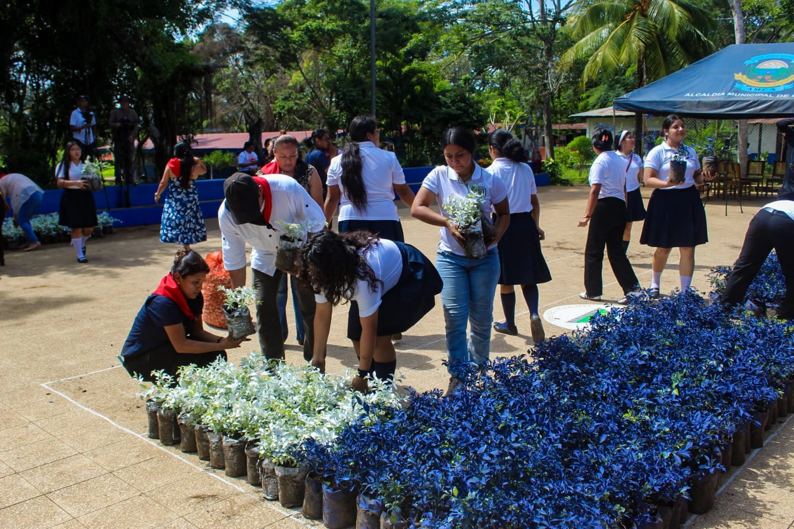FLORES-(18)