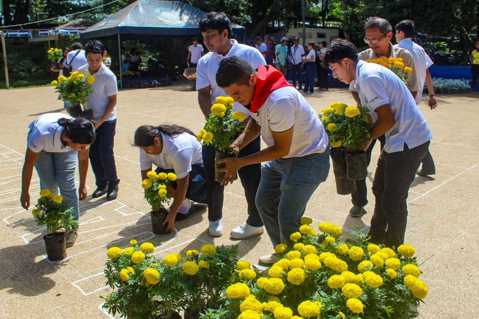 FLORES-(24)
