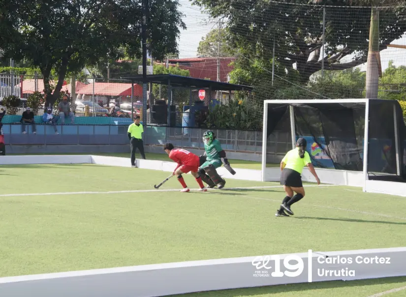 HOCKEY-(33)