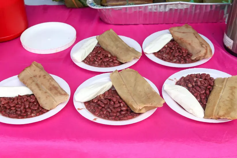 La-Sandino--(5)