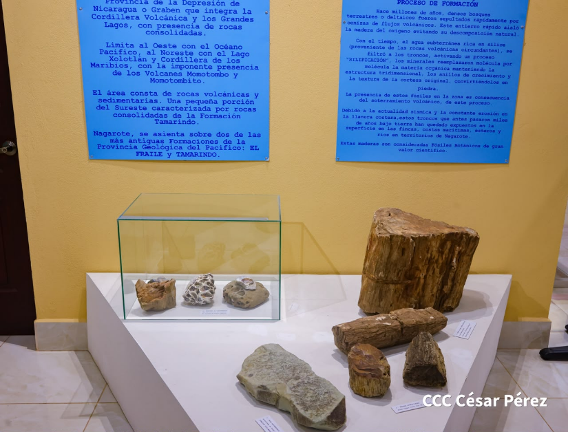 MUSEO-EL-GENIZARO-(178)
