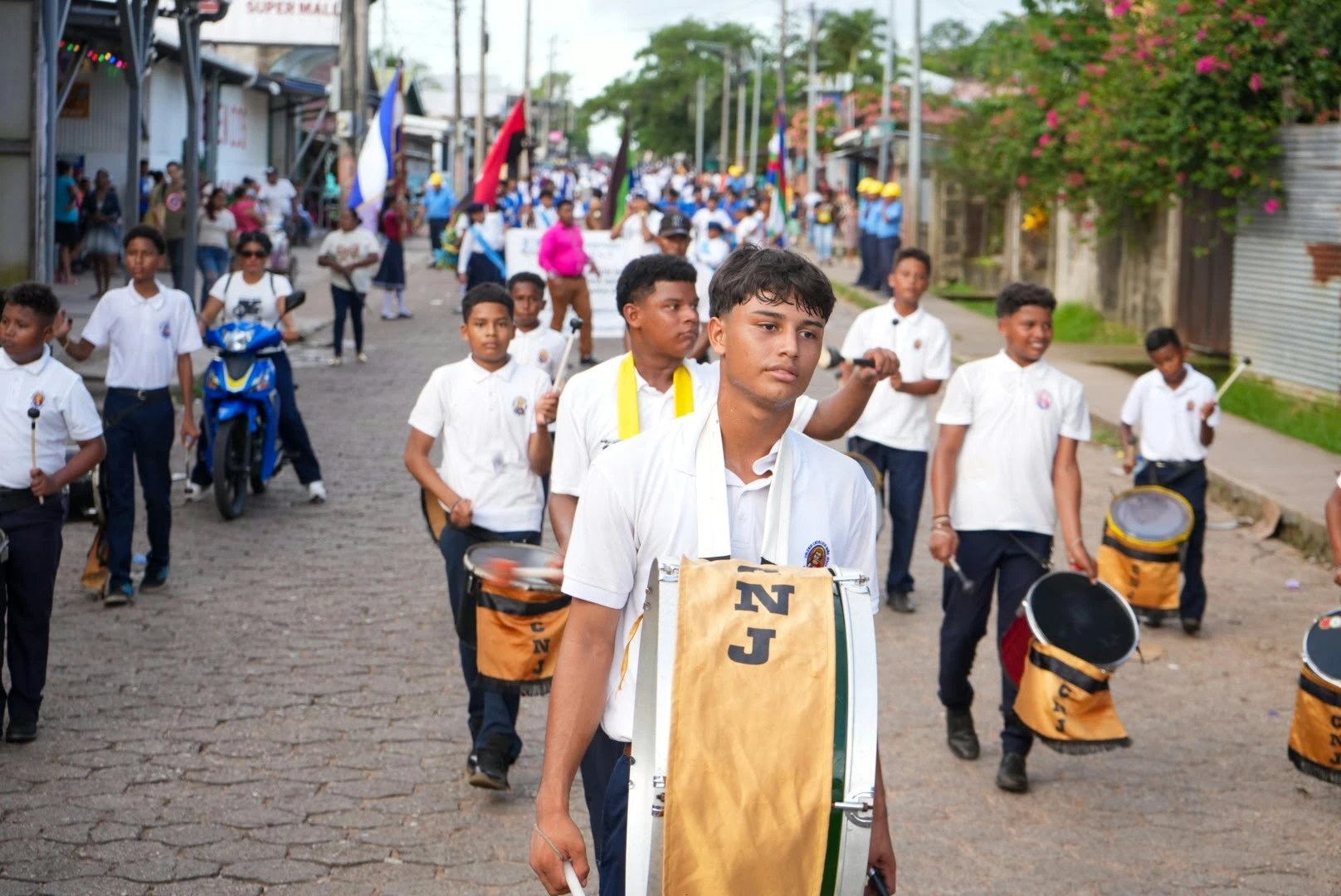 BANDAS6
