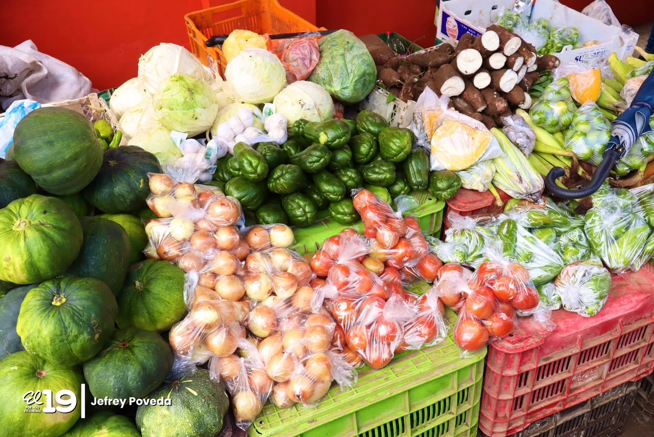 MERCADO-(2)