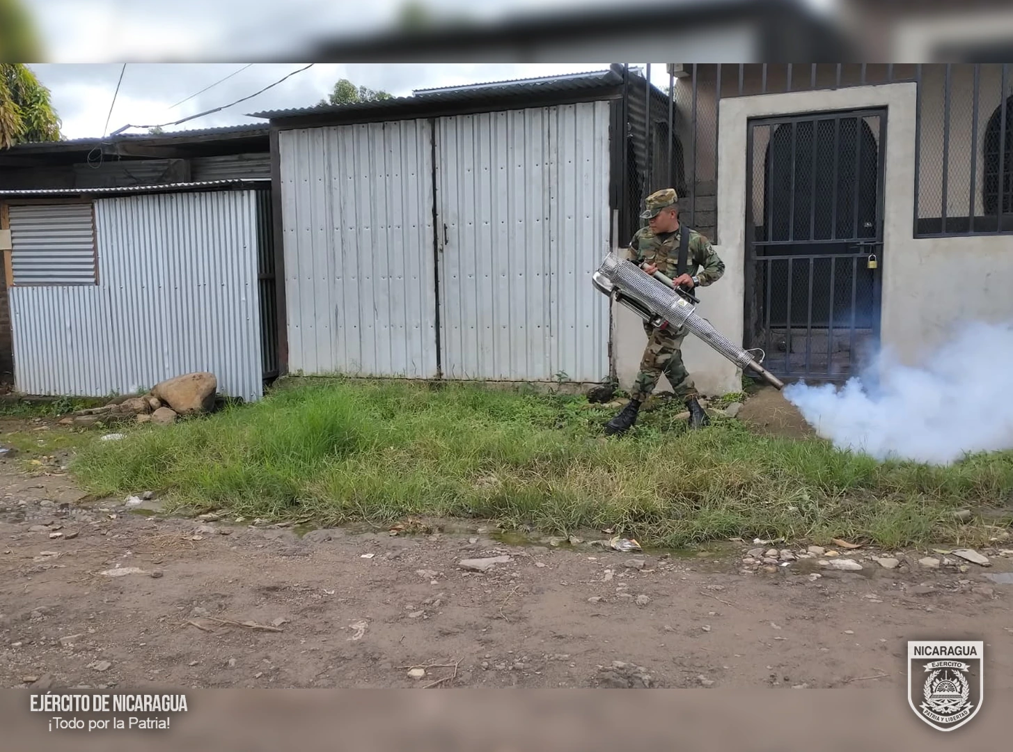 FUMIGACION4