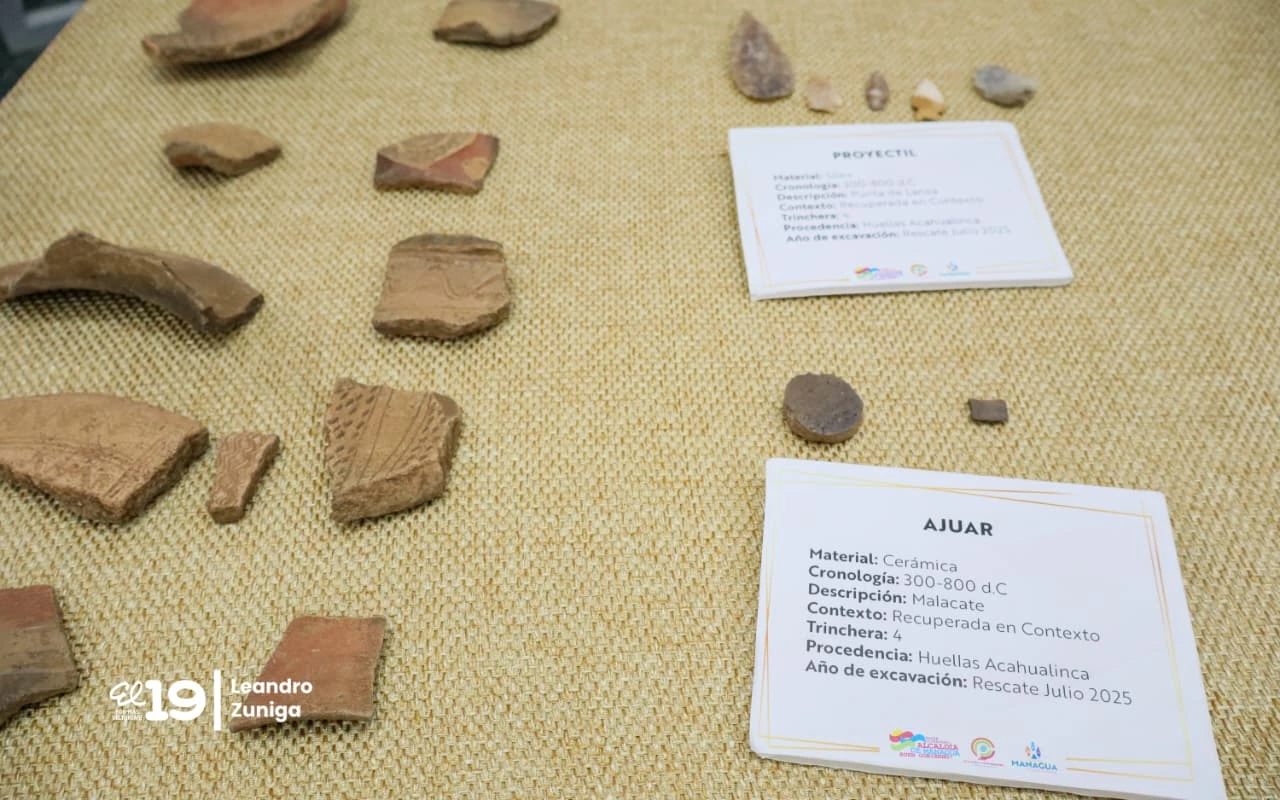INFORME25