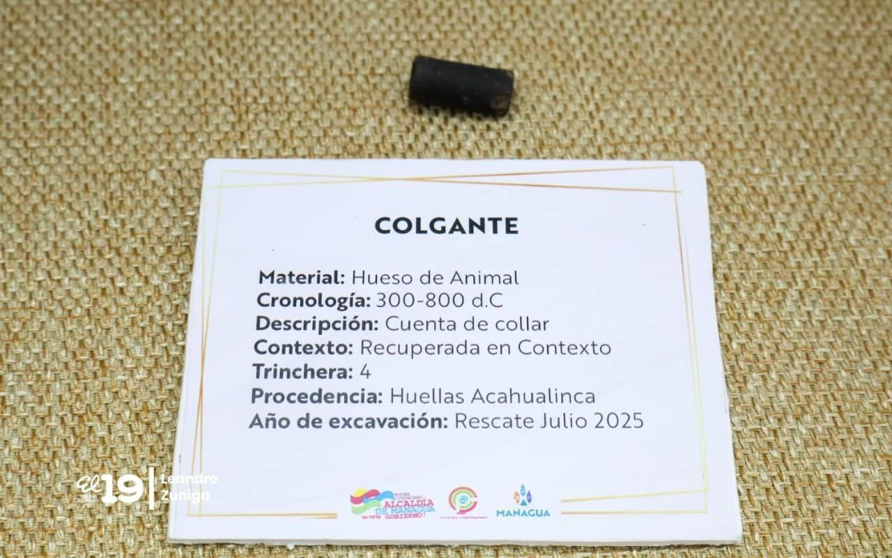 INVESTIGACION8