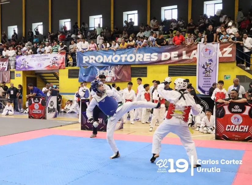 COPA-COREA--(6)
