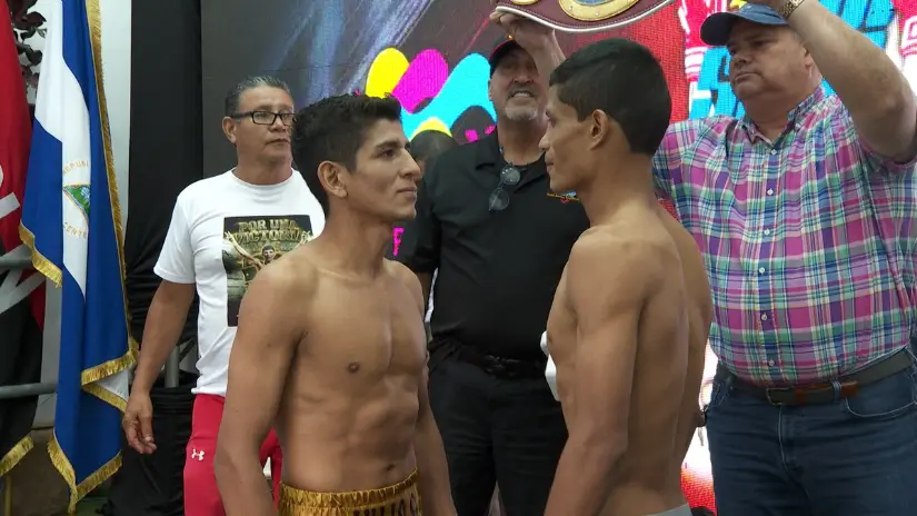 BOXEO-6