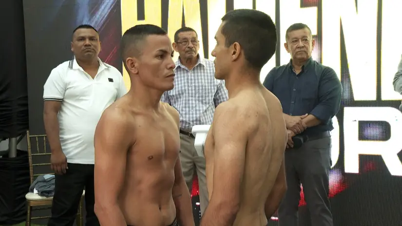 BOXEO-9