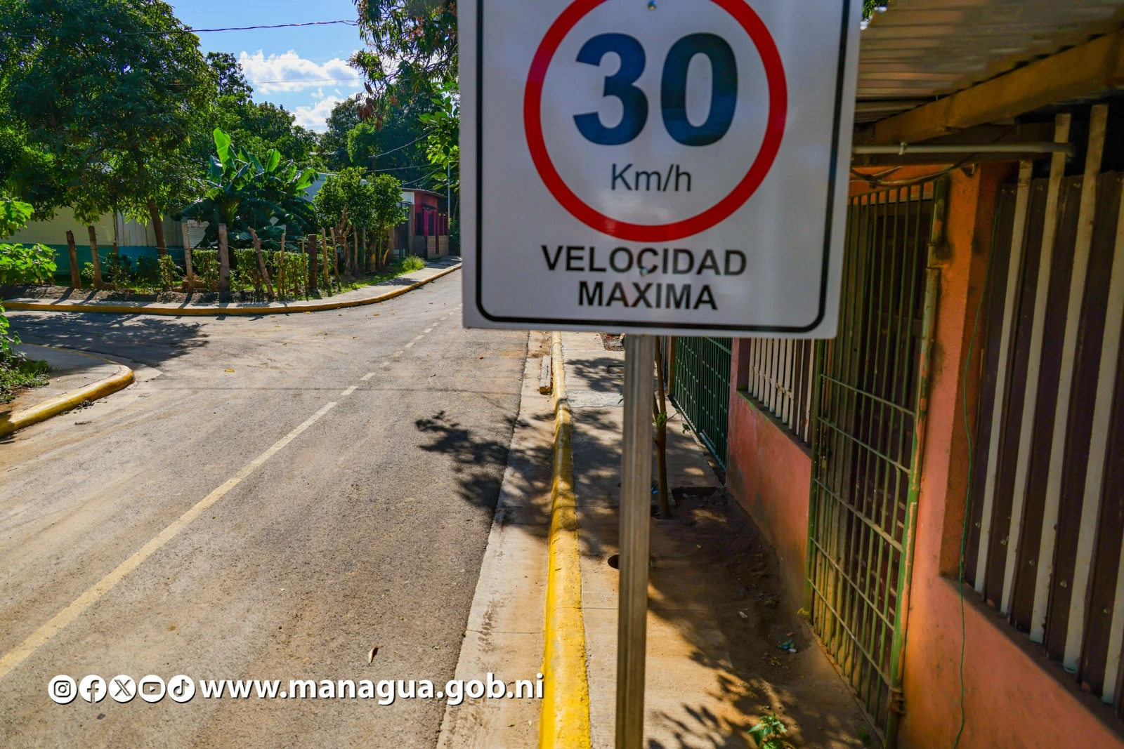 CALLES4