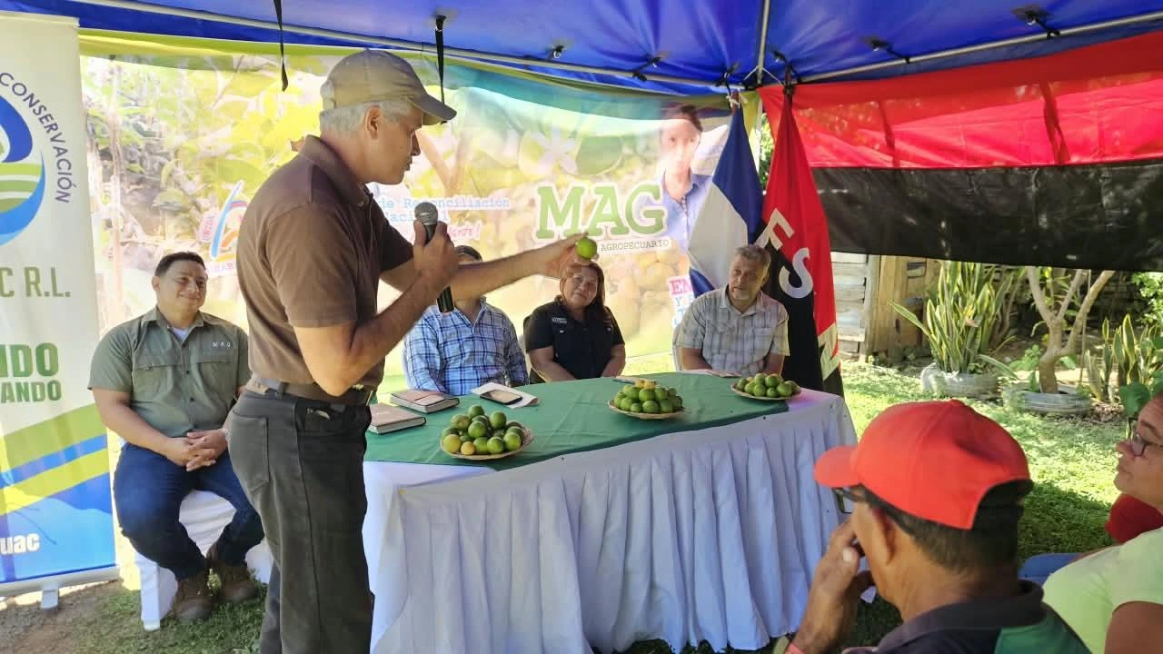 CITRICOS1