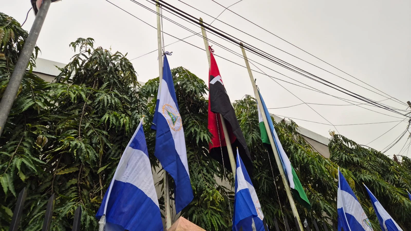 NUEVA-GUINEA27