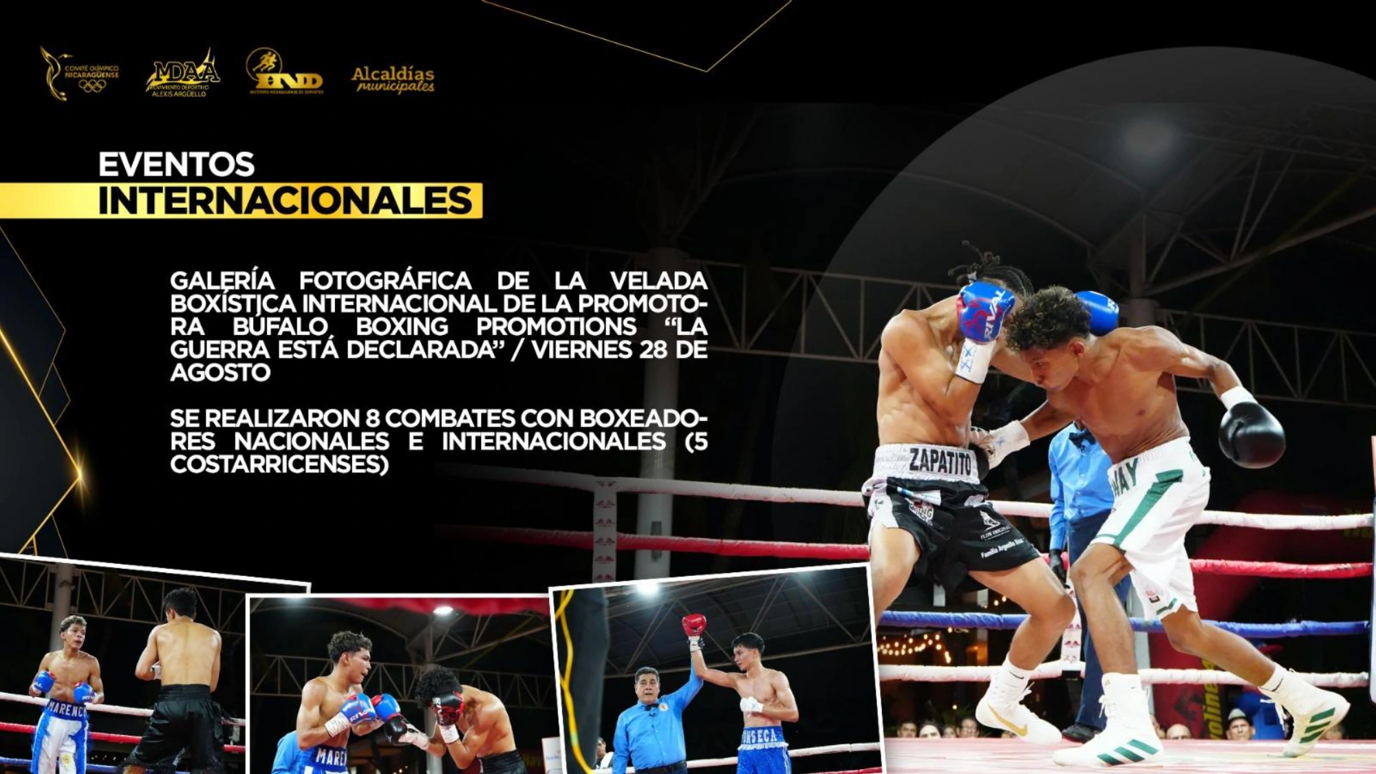 INFORME23
