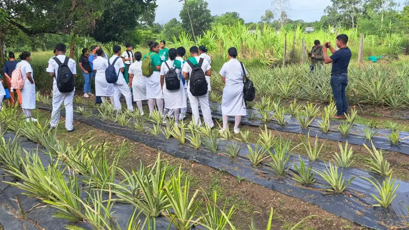 BICU-23