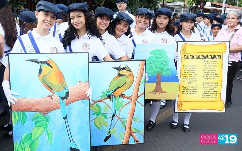 DESFILE-(3)