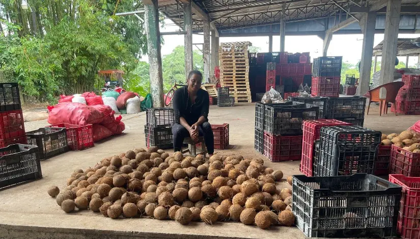 Coco-2