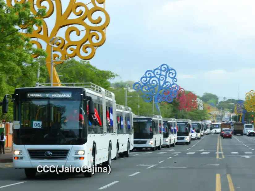 Yutong-8